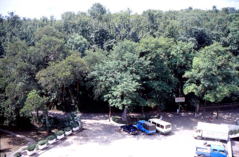 Jingdezhen Hotel Parking lot, 1992